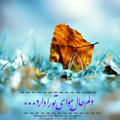 کجایی عشقم ؟