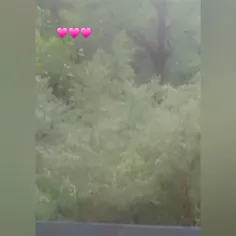 "گم‌شده در شهر بزرگ"  