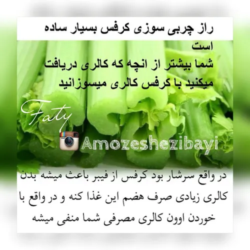 خوراکی fatimajonm 9974661 - عکس ویسگون