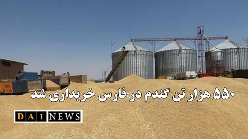 بیش از ۵۵۰ هزار تن گندم از کشاورزان فارس خریداری شد