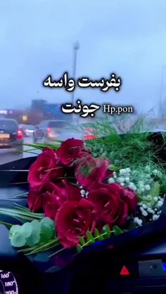 آرام دل ، راحت جانی 🩷