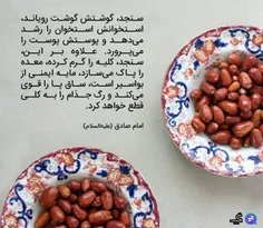 میوه ای بدون دور ریز که از آن غافلیم...