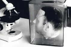 دانشمندان در حال آزمایش بر روی سر قطع شده " فریتز هارمان"