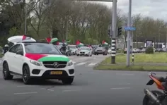 🇵🇸 رژه ماشینی در خیابان های شهر روتردام هلند در حمایت از 