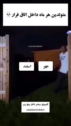 متولدین ماه ها: