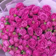🍃🌸بزرگترین دارایی آدمی 