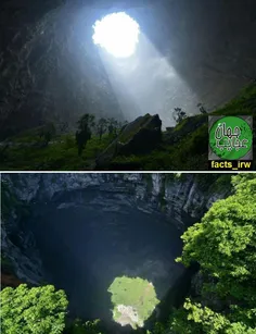 ✅ در کوه های هوبئی در چین 100 هکتار پوش گیاهی در یک غار ع