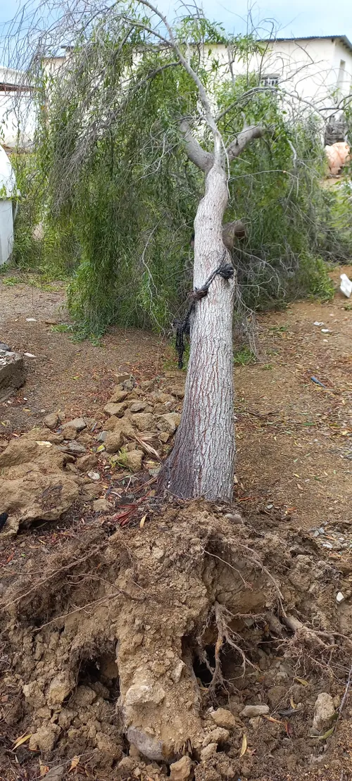 شدت باد باران وطوفان چابهار سیستان بلوچستان