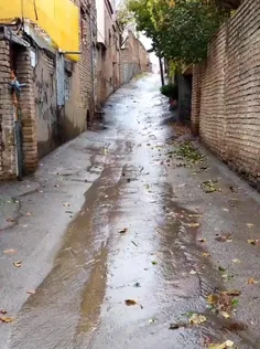 کوچه را باران شست