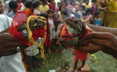 در هندوستان طی رسمی قدیمی با برقراری پیوند و اجرای مراسم 