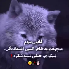 #سیفر #چشم_چران_عمارت #seyfer