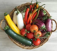 دنیای رنگارنگ سبزیجات