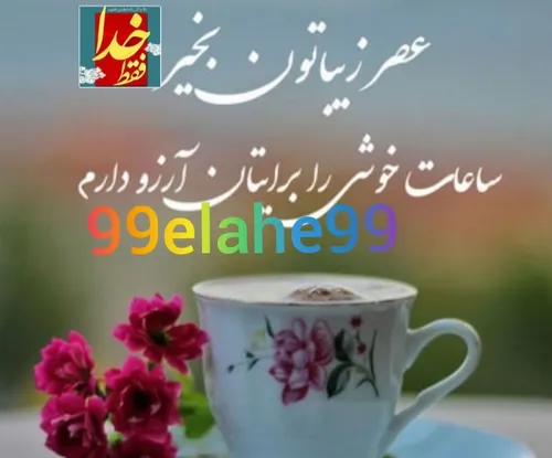 گوناگون 99elahe99 43899422 - عکس ویسگون