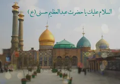 السلام علیک یا حضرت عبدالعظیم حسنی (ع)