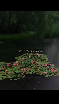 فالو نکنی دوست نداریم💅🏻