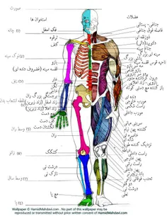 سلام به همه دوستان عزیز