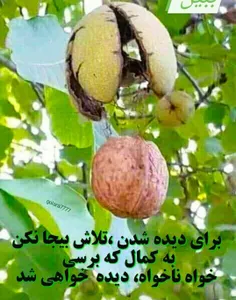 فکر مثبت