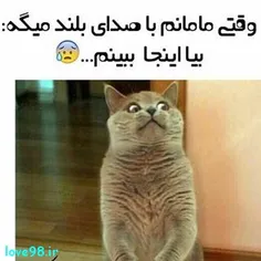 از این جمله وحشتناک ترم مگه هست؟!😓 😂