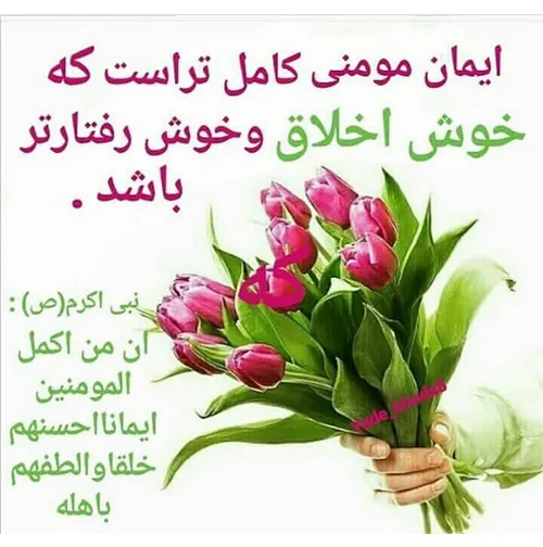 گوناگون alizaree 27494826 - عکس ویسگون