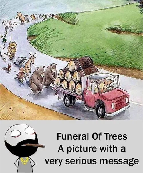 تصویری با پیامی جدی. مراسم تدفین درختان...