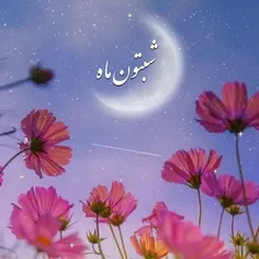 🌸شب و سکوت و آرامش