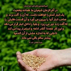 ❤️ #امام_علی علیه السلام