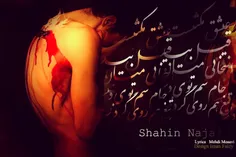 Shahin Najafi