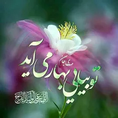 #السلام_علیک_یا_بقیة_الله_فی_ارضه