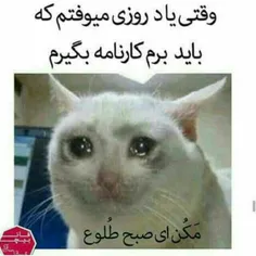 هفته بعدع لامصب😥 😱 😨 😂 😂 😂 😂