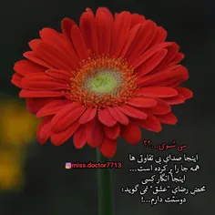 #عکس_نوشته_ساسان