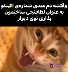 خنده لا'''شیانه