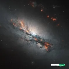 کهکشان زیبای NGC 2146 در فاصله ۷۰ میلیون سال نوری از زمین 