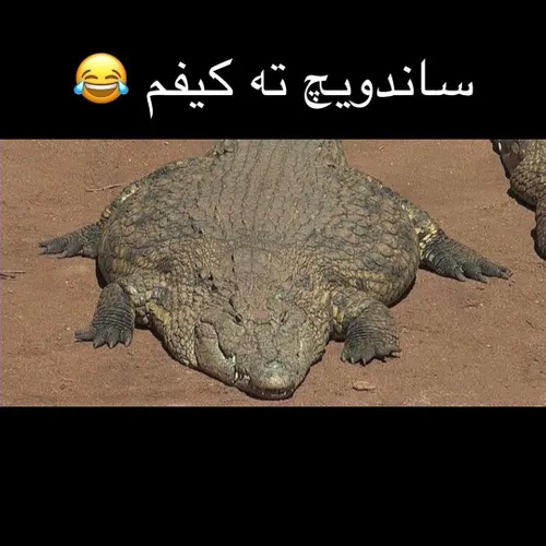 یکم حرف حق بزنیم😂🤌