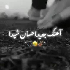 ای دل بسوز که همدم و یارت رفت😭🖤🥀