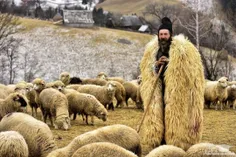 روزی چوپانی از گوسفند خود پرسید :