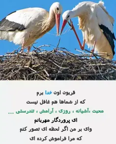 یا کَریمُ یا رَبِّ....