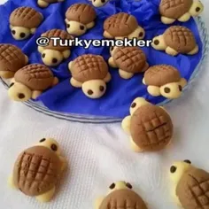 ✅ ✅ 🐢 🐢 🐢 قرابیه شکل لاک پشت 