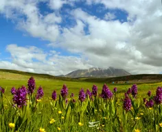 سهند همیشه زیبا