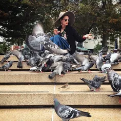 Emere Phoenix (stage name), a singer, feeding birds at Ao