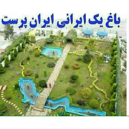 ایرانی پرست پول دار