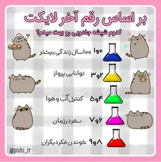 سرگرمی