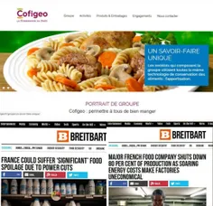 🔻 کمپانی بزرگ غذایی فرانسه به دلیل قبوض سرسام‌آور برق تعط