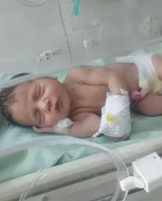 نوزادی که امروز در سطل زباله منطقه نازی‌ آباد پیدا شده بو