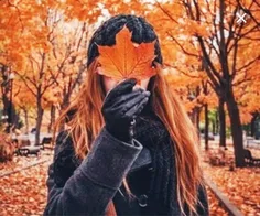 پاییز دلتنگی می آورد،ولی عاشق است.غمگین است ولی عاشق است.