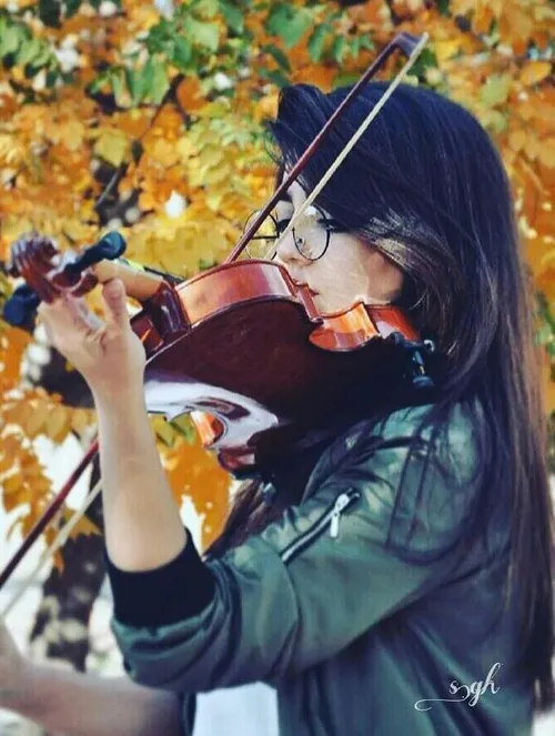 ویولن🎻