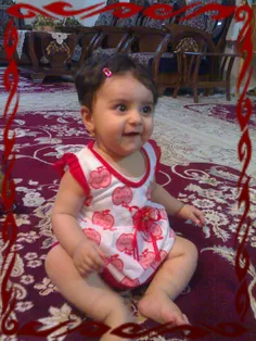 .yasaman