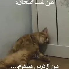 ها داره صبحح میشهه هااا استاد بمیره😂😂😂😂