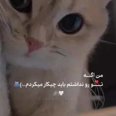 ۲۰۰ تای شدنمون مبارک عشقا مرسی که حمایت میکنید❤❤❤❤❤❤❤❤