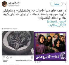 کنایه نادر فتوره چی به گربه ی هانیه توسلی روشنفکر !!!!!!!