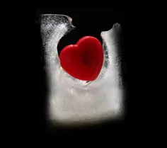 عشق در قلب یخی؟